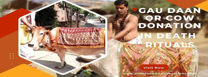 Cow Donation or Baitarni Cow Daan