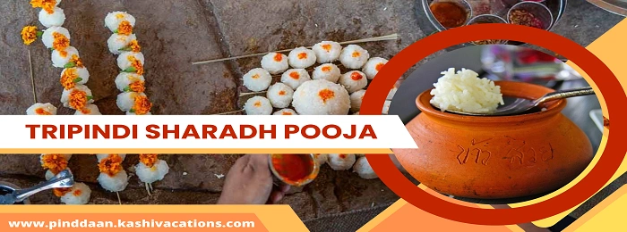 Tirpindi Shradh Services for Ancestors